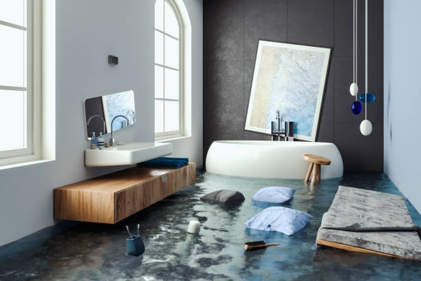 Best Flood damage cleanup  in Rock Rapids, IA