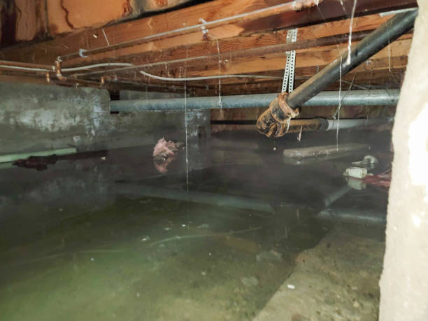 Best Water damage restoration insurance claims  in Rock Rapids, IA