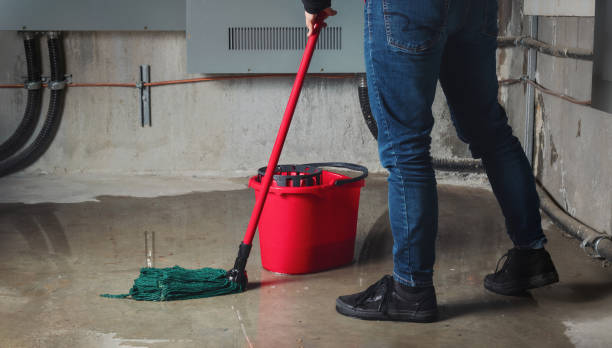 Best Commercial water damage restoration  in Rock Rapids, IA