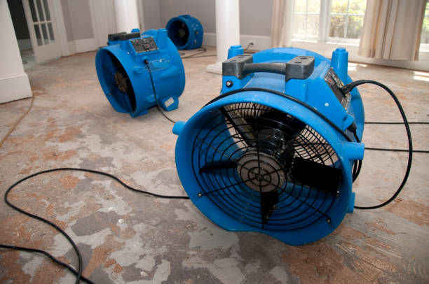 Reliable Rock Rapids, IA Water damage restoration Solutions