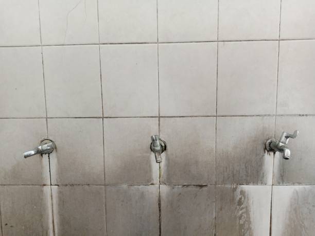 Best Mold removal after water damage  in Rock Rapids, IA