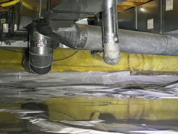 Best Water damage contractors near me  in Rock Rapids, IA