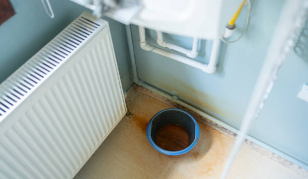 Best Water damage contractors near me  in Rock Rapids, IA