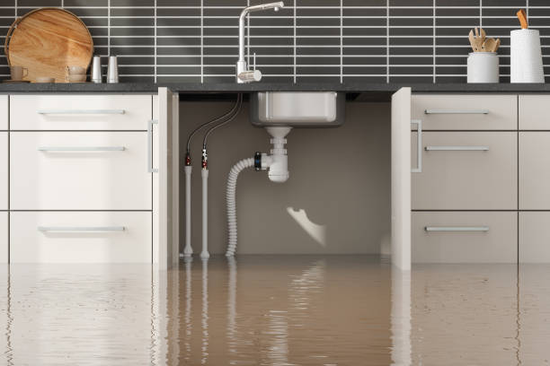 Best Water damage restoration experts  in Rock Rapids, IA