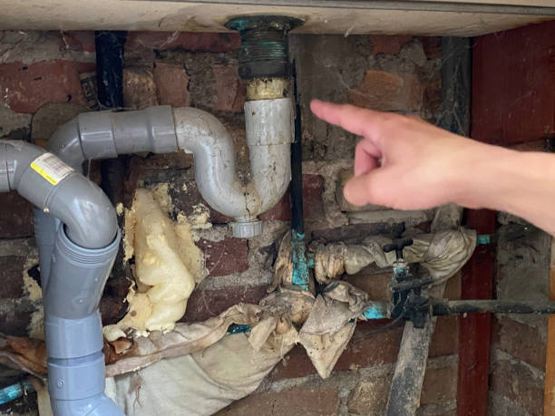 Best Flooded house restoration  in Rock Rapids, IA