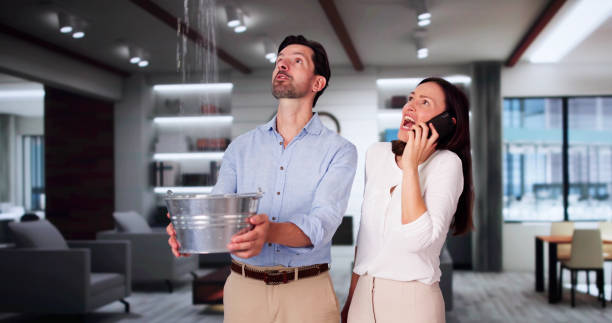 Best Basement water damage restoration  in Rock Rapids, IA